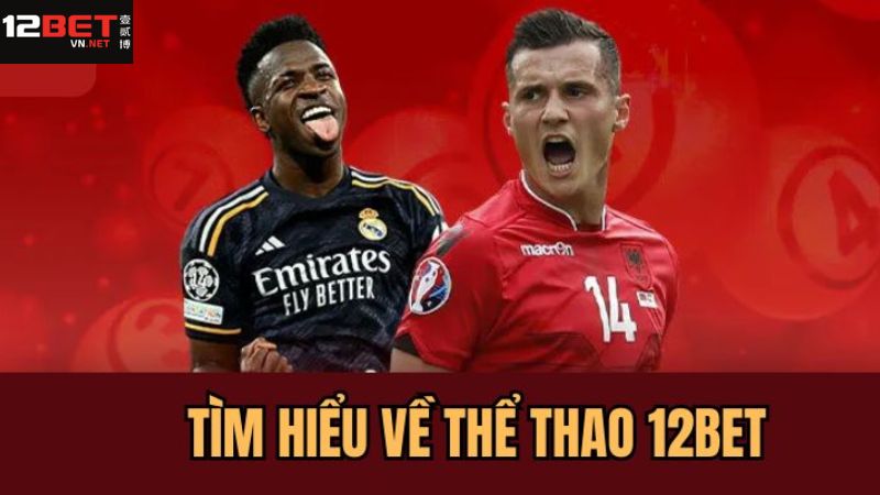 Giới thiệu khái quát về danh mục cá cược thể thao 12Bet